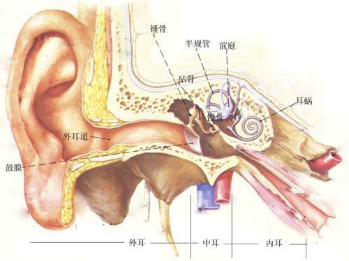 长期用耳塞听歌会导致听力下降吗？  耳塞 歌会 听力 下降 导致 第2张